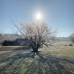 Meet your Posher, Meghan